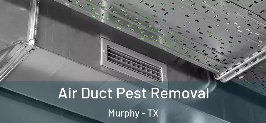  Air Duct Pest Removal Murphy - TX