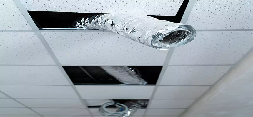 Affordable HVAC Sanitizing After Pest Removal in Murphy