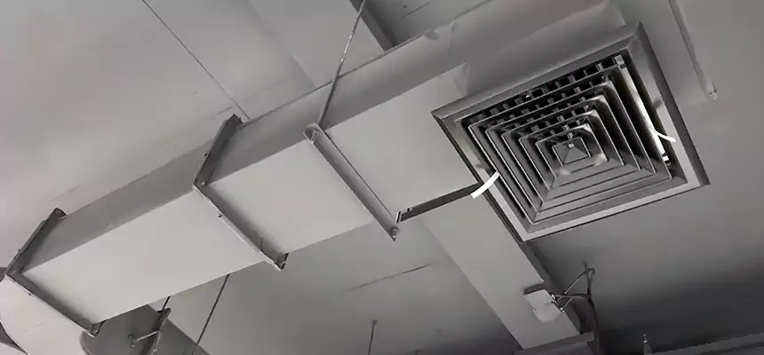 Restorative Allergy Relief Vent Cleaning – Coil, Blower & Housing Detail in Murphy