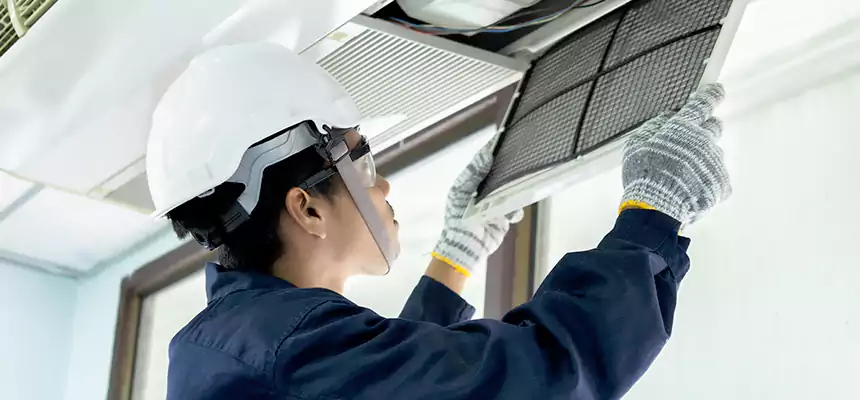 Our Mold & Mildew Removal from Air Ducts Services in Murphy, TX