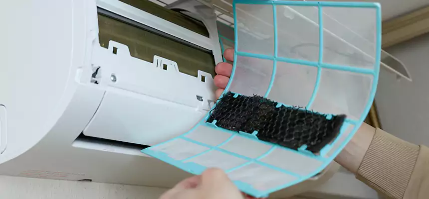 Gentle Ductwork Odor-Control Pet Dander Duct Cleaning in Murphy, TX