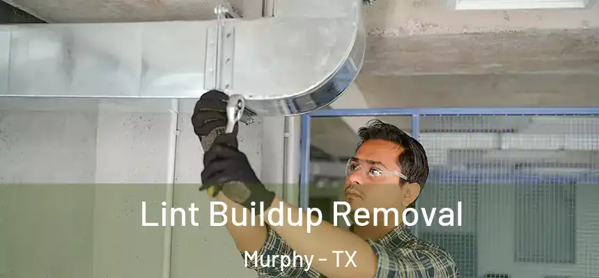  Lint Buildup Removal Murphy - TX