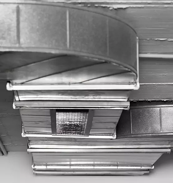 Professional Air Duct Pest Removal in Murphy, TX