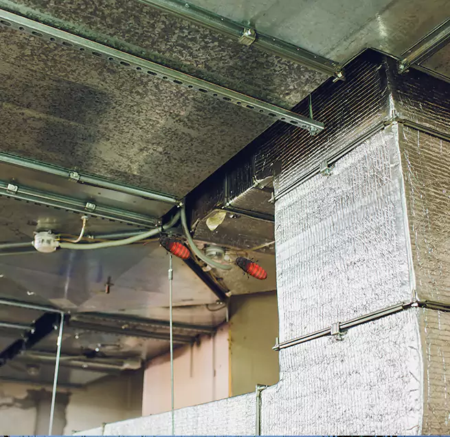 Why Homeowners & Businesses Trust Us in Murphy, TX?