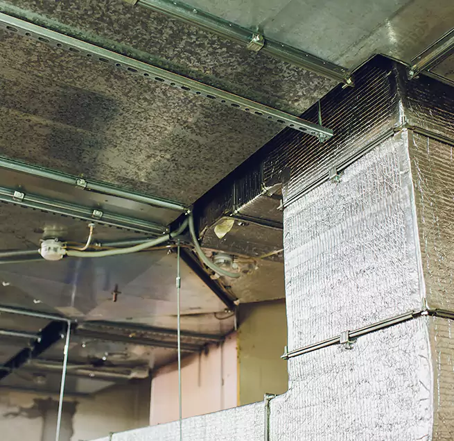 Why Homeowners & Businesses Trust Us in Murphy, TX?